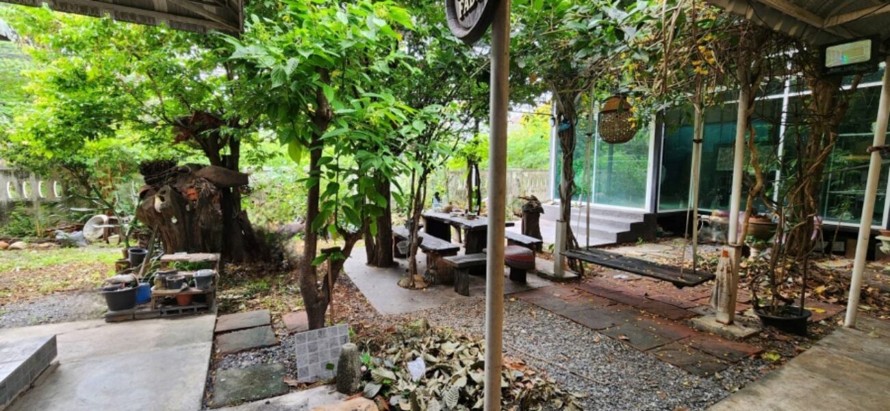 Listing No. 68040538 : ขายบ้านเดี่ยว 2 ชั้น บนที่ดินขนาด 94 ตร.ว. หมู่บ้านพลายรัตนะ ถนนพหลโยธิน 54/1 แยก 6 สายไหม กรุงเทพ ตอบทุกโจทย์สำหรับคนที่อยากมีบ้าน ราคานี้หาไม่ได้อีกแล้วในย่านนี้