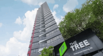 Listing No. 68080950 : ขายห้องชุดพักอาศัยขนาด 1 ห้องนอน พื้นที่ 26.5 ตรม. โครงการ The Tree Charan 30 ใกล้รถไฟฟ้าสายสีน้ำเงิน สถานีแยกไฟฉาย คุ้มค่า น่าอยู่