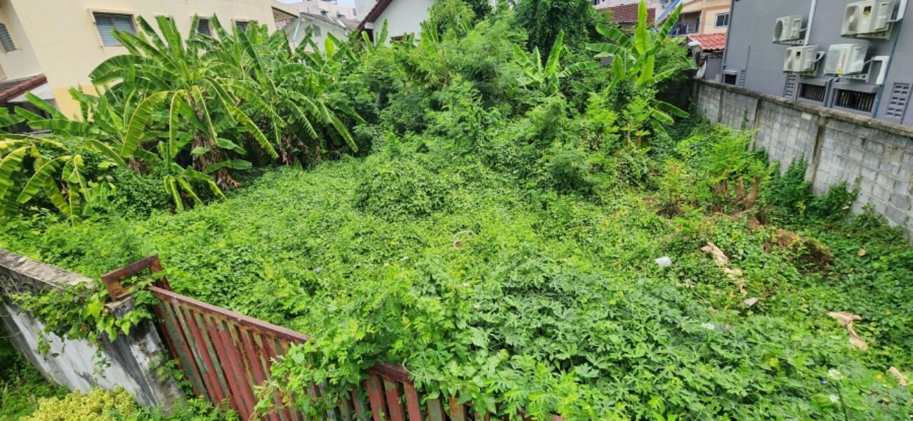 Listing No. 68080978 : ขายที่ดินขนาด 100 ตร.ว. ถมแล้ว พร้อมล้อมรั้ว 4 ด้าน ถนนลาดพร้าว 101 ซอย 38 ( ซอยรวมน้ำใจ 6 ) สามารถทะลุ ออกลาดพร้าว 107 ได้ เหมาะสร้างบ้าน , อพาร์ตเมนต์ หรือ หอพัก