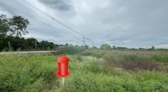 Listing No. 69030148 : ขายถูก ที่ดินแปลงสวย  เนื้อที่ 55 ตร.ว.  ต.พืชอุดม  อ.ลำลูกกา จ.ปทุมธานี